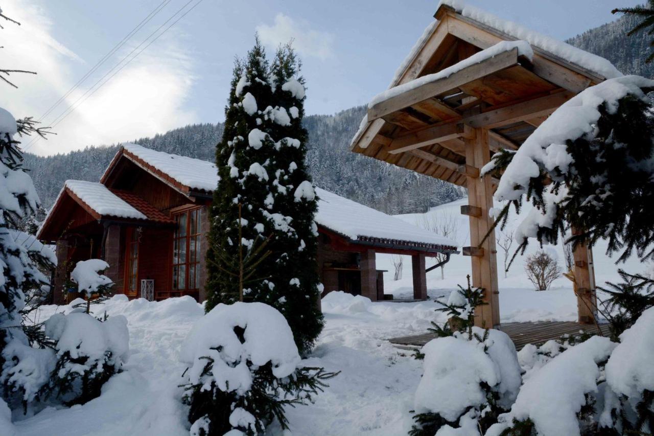Studio ALPIKA Villa Luče Esterno foto