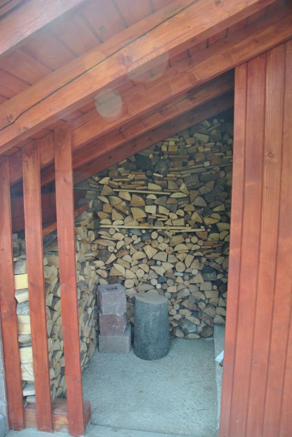Studio ALPIKA Villa Luče Esterno foto