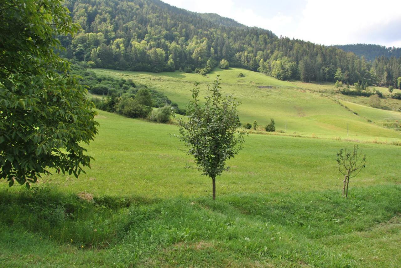 Studio ALPIKA Villa Luče Esterno foto