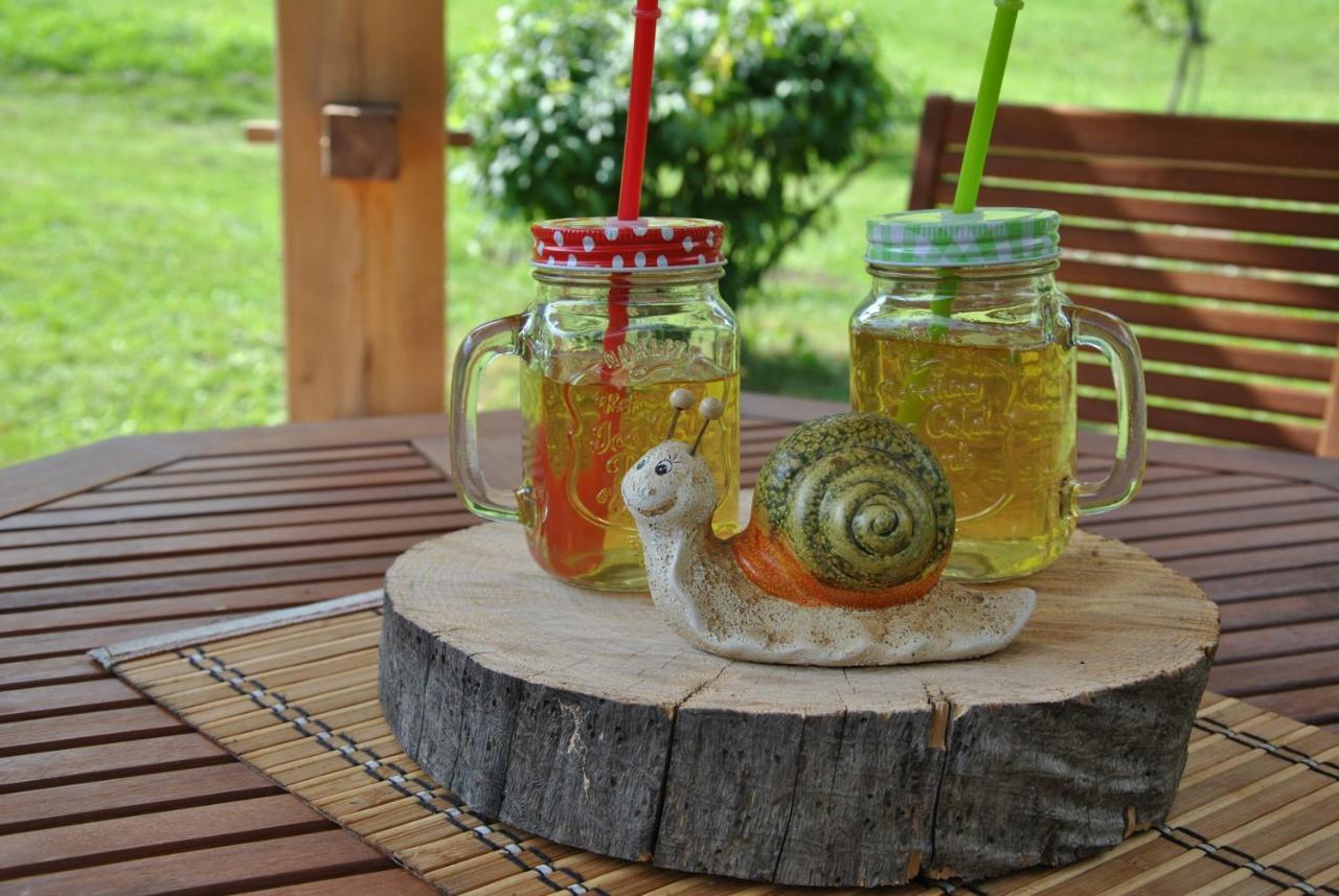 Studio ALPIKA Villa Luče Esterno foto