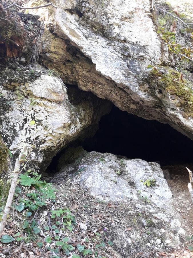 Studio ALPIKA Villa Luče Esterno foto