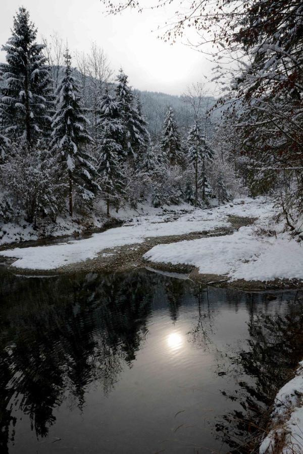Studio ALPIKA Villa Luče Esterno foto